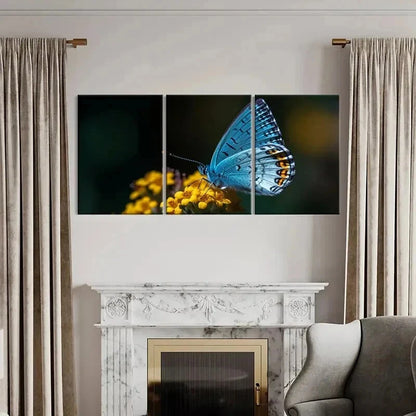 3pcs Vibrant Blue Butterfly with Yellow Flower Wall Art Set Canvas Framed 40x60cm - High Quality Print 100% Australian Made Wall Canvas Ready to Hang