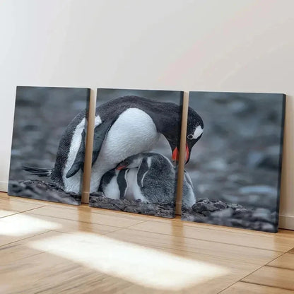 3pcs Animal Penguin Family Decoration Wall Art Set Canvas Framed 40x60cm - High Quality Print 100% Australian Made Wall Canvas Ready to Hang