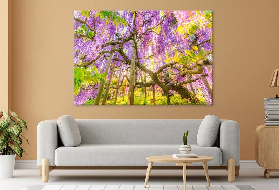 Wisteria At Ashikaga Flower Park Wall Art Decor 100% Australian Made - Bella Home Decor