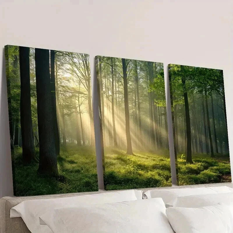 3pcs Sunlight Shining Through Green Forest Wall Art Set Canvas Framed 40x60cm - High Quality Print 100% Australian Made Wall Canvas Ready to Hang