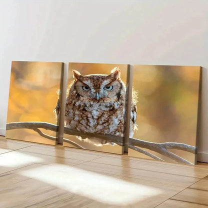 3pcs Animal Art Cute Owl Bird on a Branch Wall Art Set Canvas Framed 40x60cm - High Quality Print 100% Australian Made Wall Canvas Ready to Hang