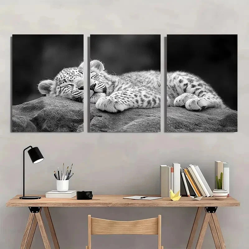3pcs Black & White Leopard Cub Sleeping Metal Print Ready to Hang Art
