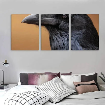 3pcs Black Raven Artwork Decoration  Wall Art Set Canvas Framed 60x90cm - High Quality Print 100% Australian Made Wall Canvas Ready to Hang