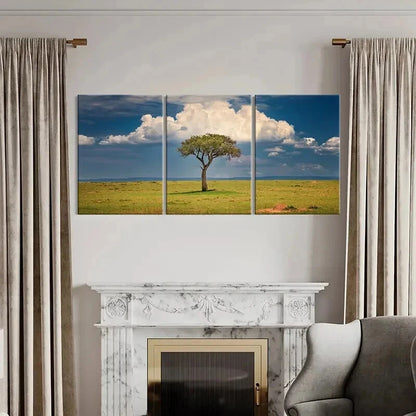 3pcs Blue Sky White Clouds Grassland & Tree Wall Art Set Canvas Framed 40x60cm - High Quality Print 100% Australian Made Wall Canvas Ready to Hang