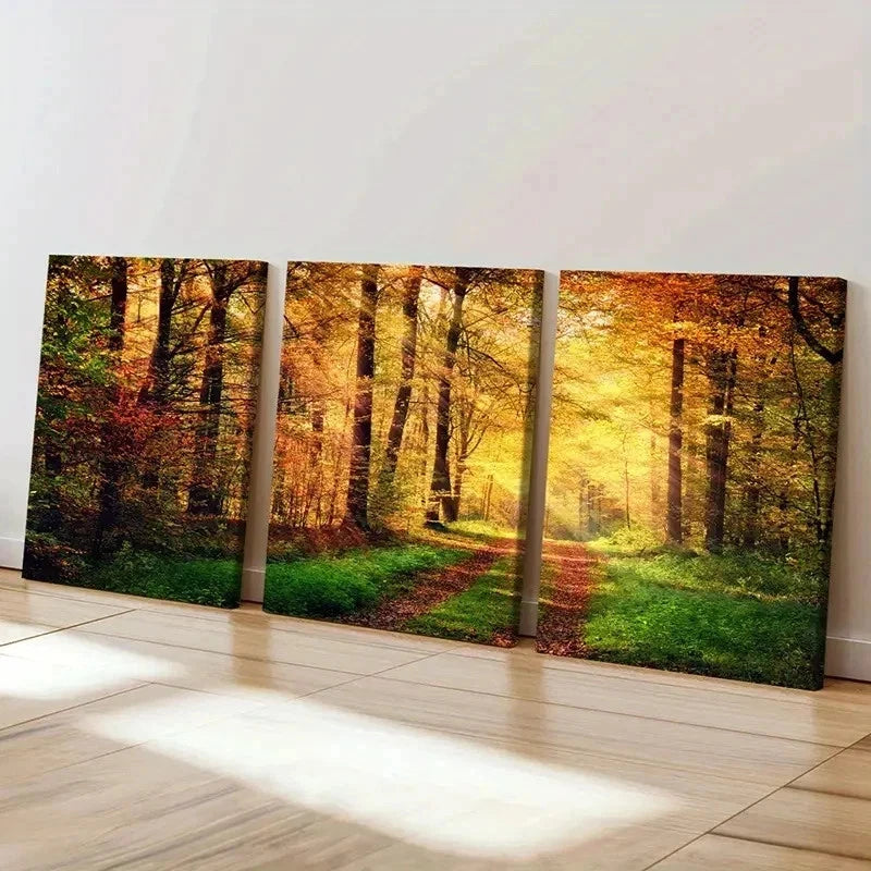3pcs Forest Woods at Sunshine Natural Wall Art Set Canvas Framed 40x60cm - High Quality Print 100% Australian Made Wall Canvas Ready to Hang