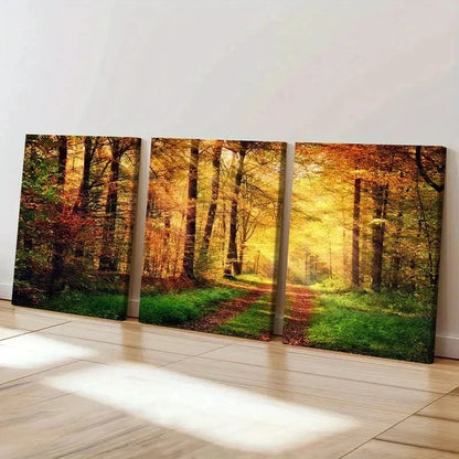 3pcs Forest Woods at Sunshine Natural Wall Art Set Canvas Framed 40x60cm - High Quality Print 100% Australian Made Wall Canvas Ready to Hang