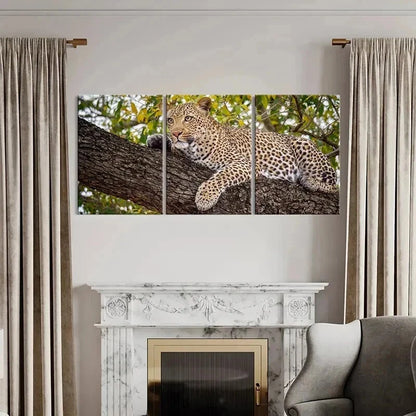 3pcs Leopard on a Tree Sleeping Decor Wall Art Set Canvas Framed 40x60cm - High Quality Print 100% Australian Made Wall Canvas Ready to Hang