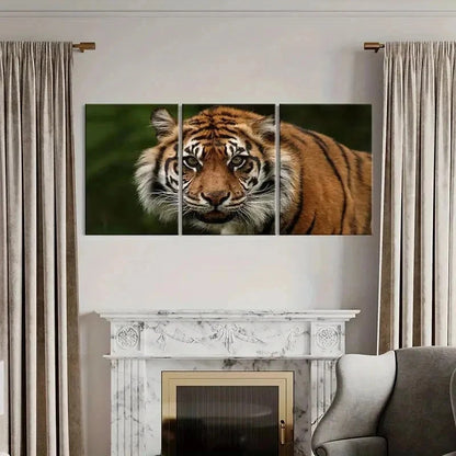 3pcs Realistic Tiger Watching Print Wall Art Set Canvas Framed 40x60cm - High Quality Print 100% Australian Made Wall Canvas Ready to Hang
