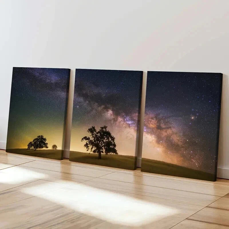 3pcs Desert Starry Sky & Trees Decoration Wall Art Set Canvas Framed 40x60cm - High Quality Print 100% Australian Made Wall Canvas Ready to Hang