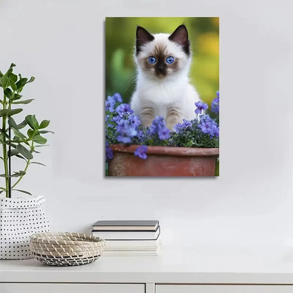 Adorable Birman Kitten with Blue Eyes Painting 40x60cm Metal Print Ready to Hang