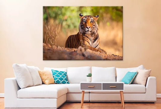 Amazing Tiger In The Nature Wall Art Decor 100% Australian Made