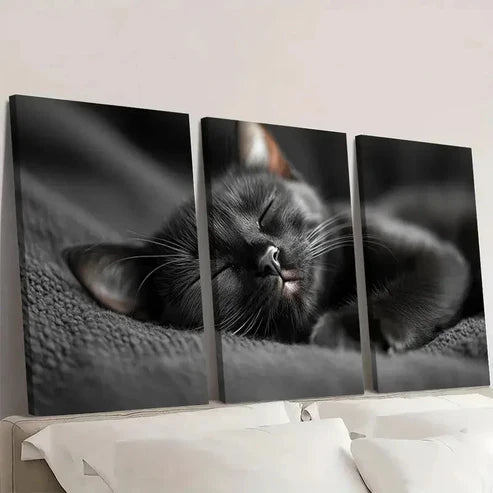 3pcs Black Cat Sleeping Vintage Aesthetic Wall Art Set Canvas Unframed - High Quality Print 100% Australian Made Wall Canvas