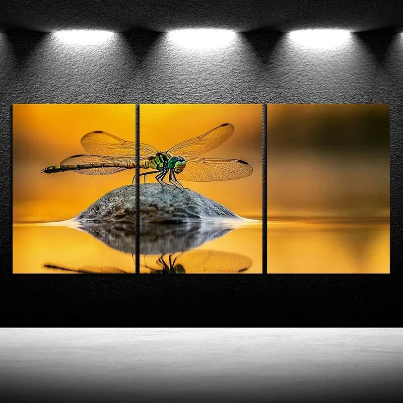 3pcs Dragonfly On Stone River Side Metal Print Ready to Hang Art