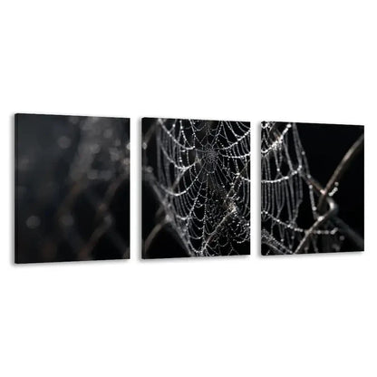 3pcs Close Up of Spider Webs on a Chain  Wall Art Set Canvas Framed 60x90cm - High Quality Print 100% Australian Made Wall Canvas Ready to Hang