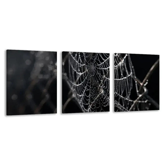 3pcs Close Up of Spider Webs on a Chain  Wall Art Set Canvas Framed 60x90cm - High Quality Print 100% Australian Made Wall Canvas Ready to Hang