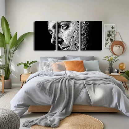 3pcs Face With Lunar Surface Design Perfect Wall Art Set Canvas Framed 40x60cm - High Quality Print 100% Australian Made Wall Canvas Ready to Hang