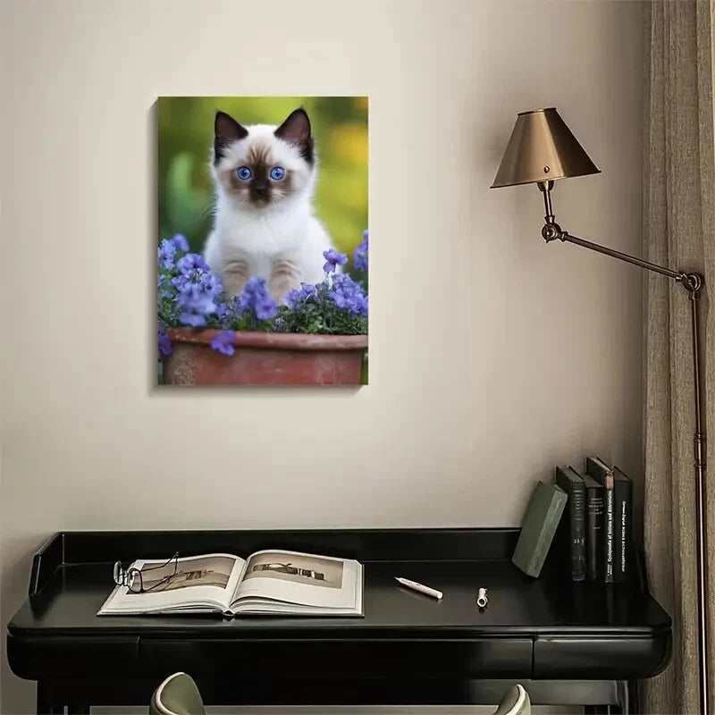 Adorable Birman Kitten with Blue Eyes Painting 40x60cm Metal Print Ready to Hang
