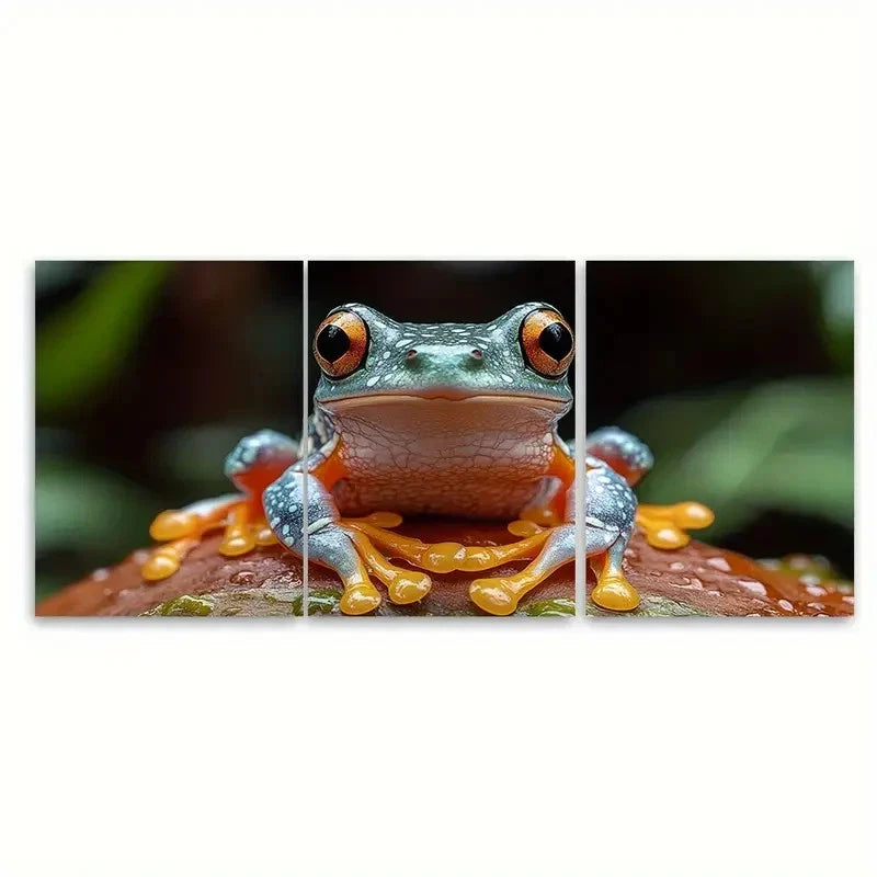 3pcs Tree Frog Art of Animals T Wall Art Set Canvas Framed 60x90cm - High Quality Print 100% Australian Made Wall Canvas Ready to Hang