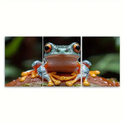 3pcs Tree Frog Art of Animals T Wall Art Set Canvas Framed 60x90cm - High Quality Print 100% Australian Made Wall Canvas Ready to Hang