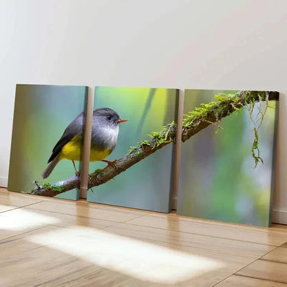 3pcs Tiny Bird On A Small Branch Decoration Wall Art Set Canvas Framed 40x60cm - High Quality Print 100% Australian Made Wall Canvas Ready to Hang