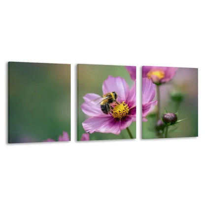 3pcs Bee on the Flower of a Pink Cosmos Plant  Wall Art Set Canvas Framed 60x90cm - High Quality Print 100% Australian Made Wall Canvas Ready to Hang