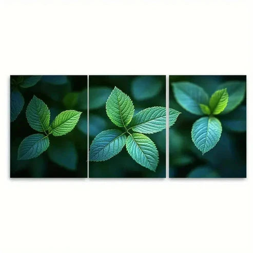 3pcs Abstract Green Leaves Wall Art Set Canvas Unframed - High Quality Print 100% Australian Made Wall Canvas
