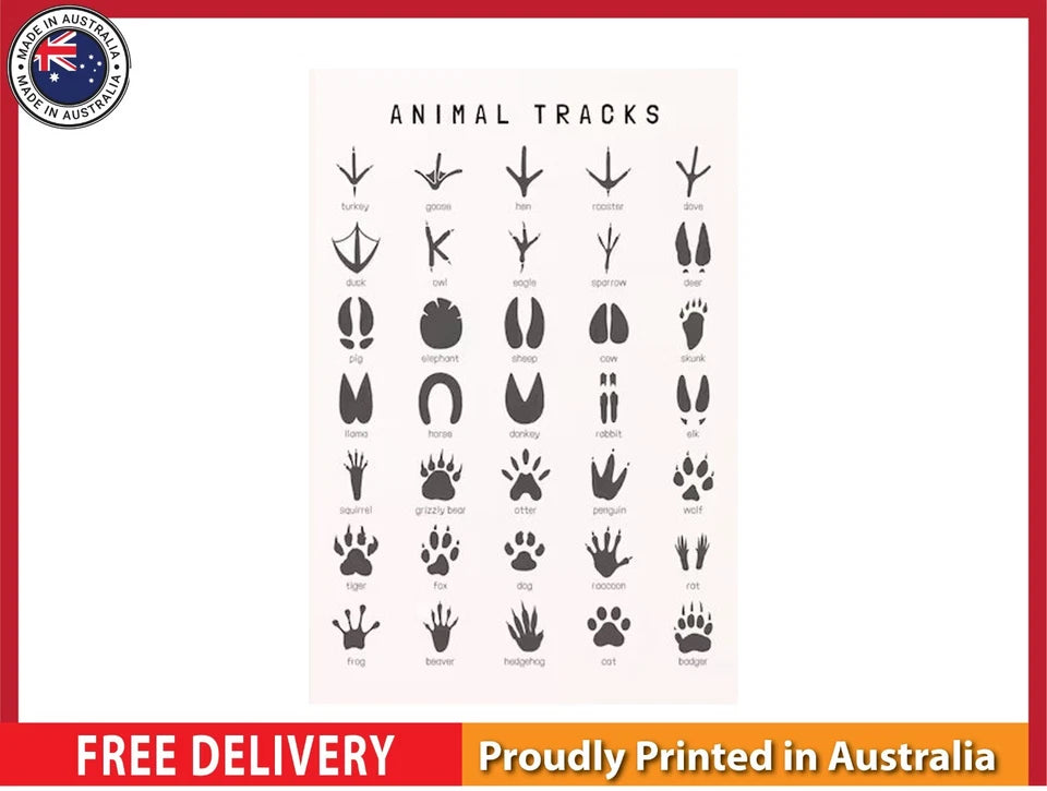 NEW (LAMINATED) Woodlands Foot (61X91CM) Animal CHART PICTURE PRINT