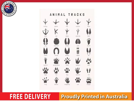 NEW (LAMINATED) Woodlands Foot (61X91CM) Animal CHART PICTURE PRINT
