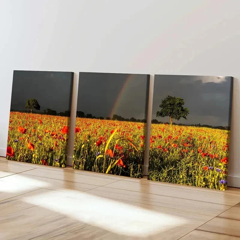 3pcs Vibrant Flower Field & Rainbow Landscape Wall Art Set Canvas Framed 40x60cm - High Quality Print 100% Australian Made Wall Canvas Ready to Hang