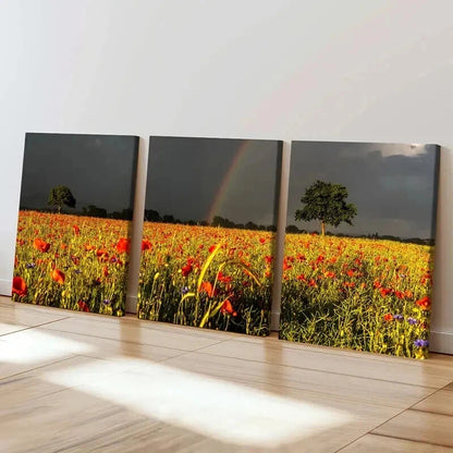 3pcs Vibrant Flower Field & Rainbow Landscape Wall Art Set Canvas Framed 40x60cm - High Quality Print 100% Australian Made Wall Canvas Ready to Hang
