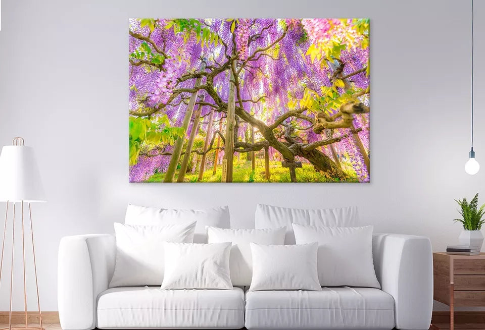 Wisteria At Ashikaga Flower Park Wall Art Decor 100% Australian Made - Bella Home Decor