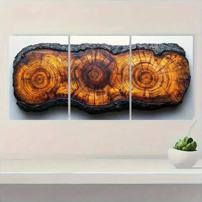 3pcs Tree Ring Prints Beauty R Wall Art Set Canvas Unframed - High Quality Print 100% Australian Made Wall Canvas - Bella Home Decor