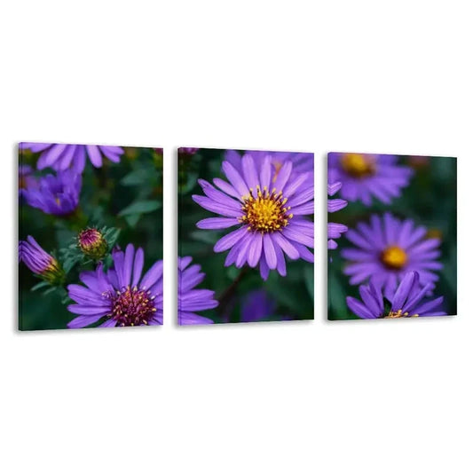 3pcs Bunch of Purple Asters with Yellow  Wall Art Set Canvas Framed 60x90cm - High Quality Print 100% Australian Made Wall Canvas Ready to Hang