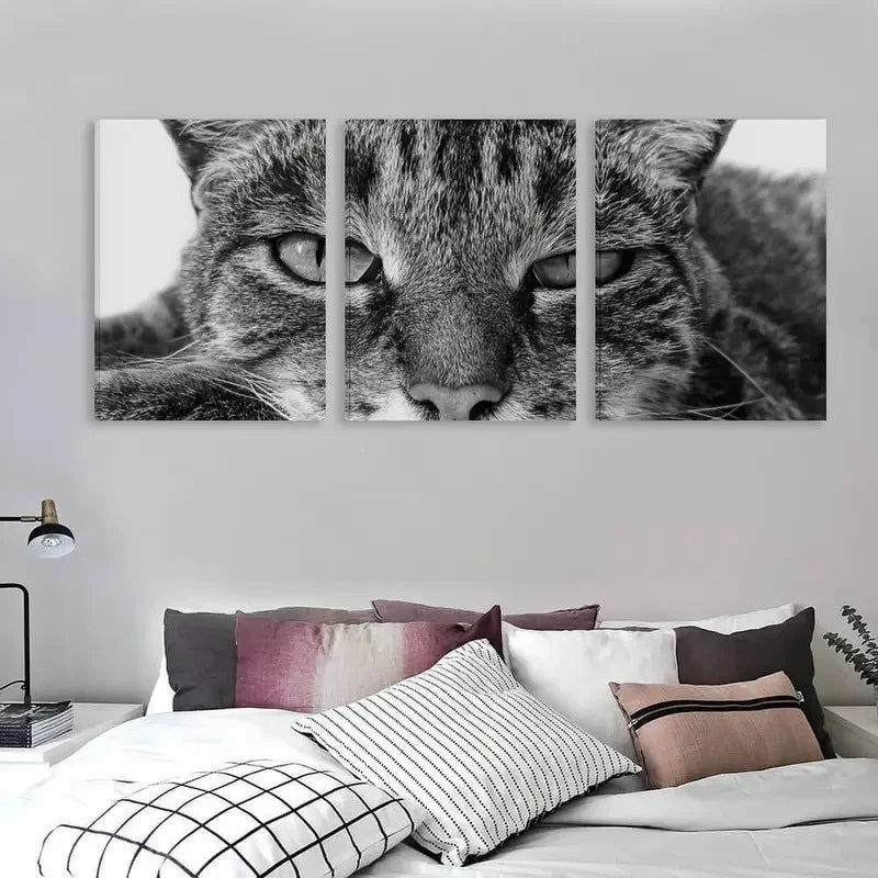 3pcs Modern Black and White Tabby Cat Deco    Wall Art Set Canvas Framed 60x90cm - High Quality Print 100% Australian Made Wall Canvas Ready to Hang