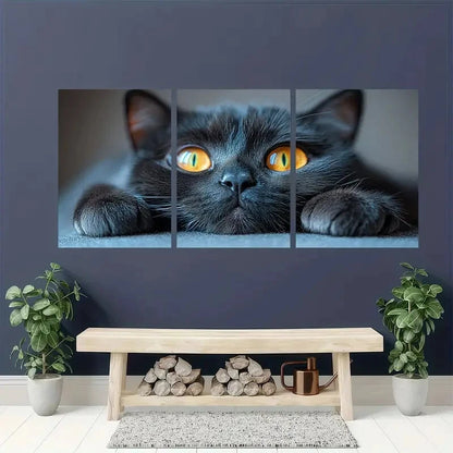 3pcs Animal Cat Stunning Golden Eyes Metal Print Ready to Hang Art