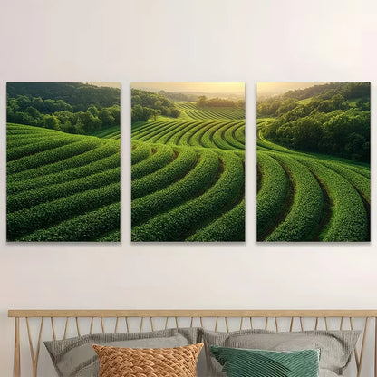 3pcs Drone Over Agricultural Field Metal Print Ready to Hang Art