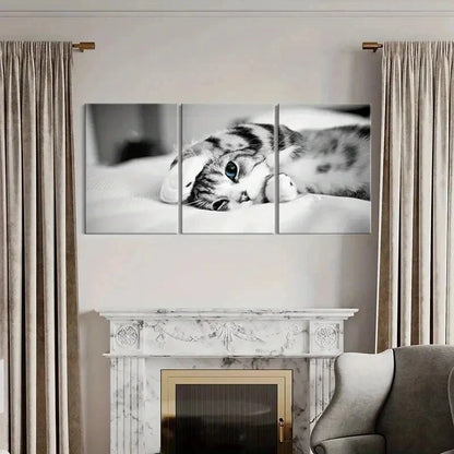3pcs Pet Art Cute Cat Modern Decoration  Wall Art Set Canvas Framed 40x60cm - High Quality Print 100% Australian Made Wall Canvas Ready to Hang