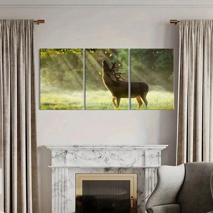3pcs Deer in the Warmth Of The Sun Wall Art Set Canvas Framed 40x60cm - High Quality Print 100% Australian Made Wall Canvas Ready to Hang