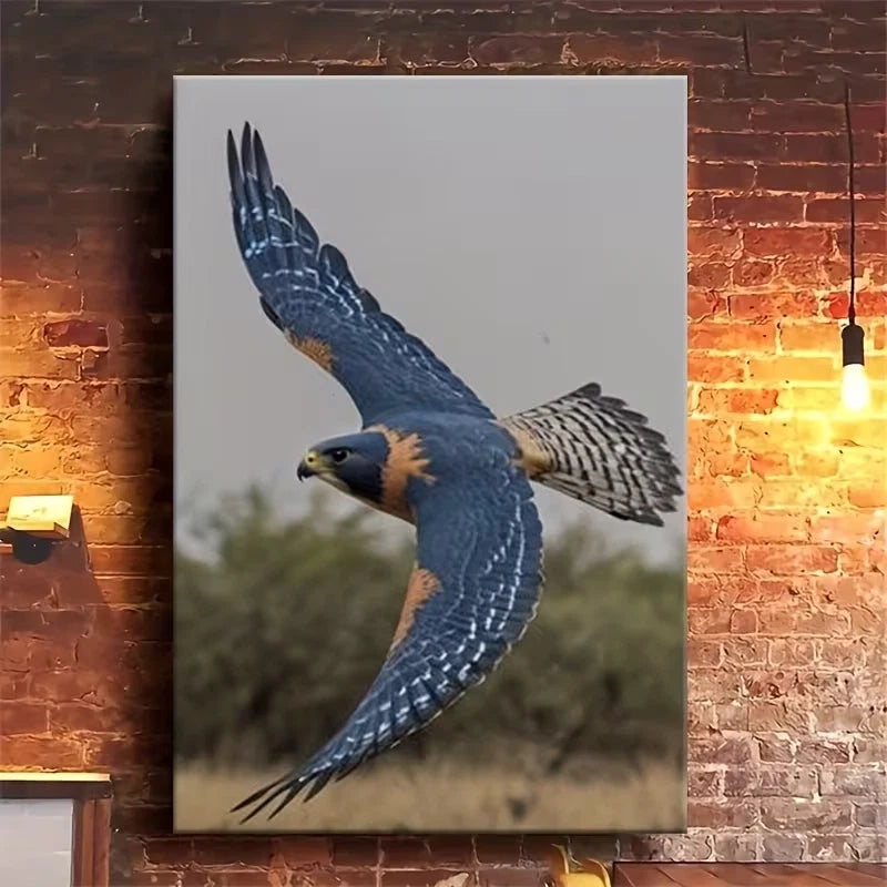 Falcon in Flight: Grace in Motion 60x90cm Metal Print Ready to Hang