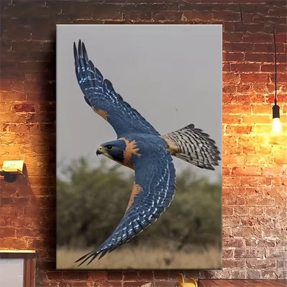 Falcon in Flight: Grace in Motion 60x90cm Metal Print Ready to Hang