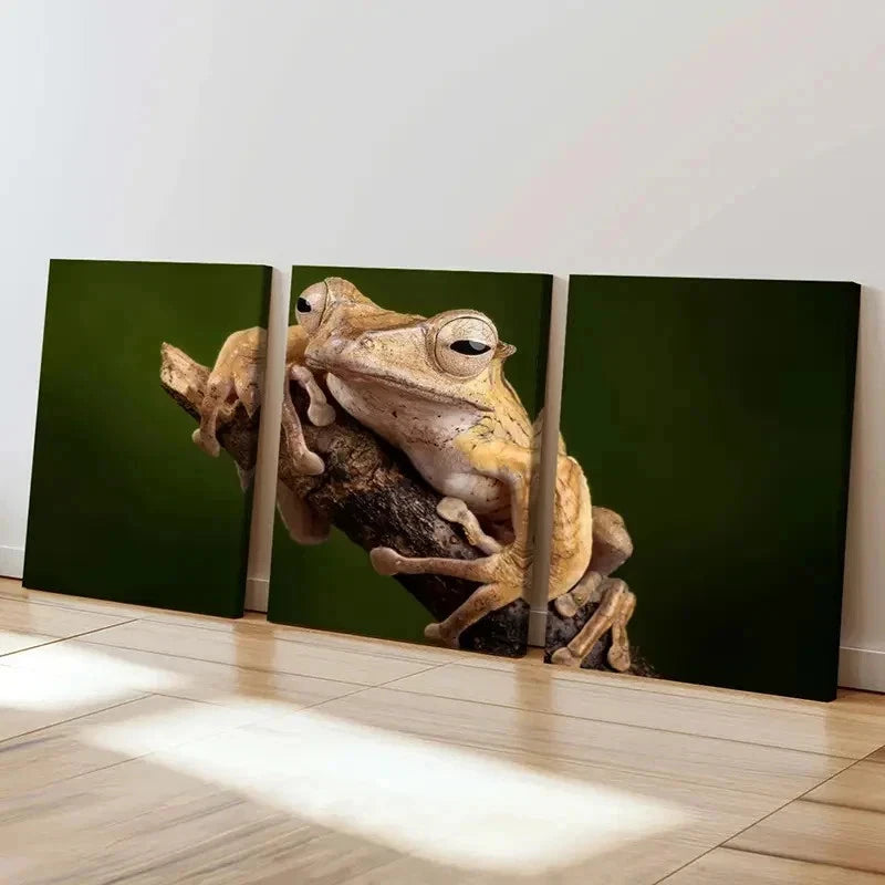 3pcs Tree Frog Lying On A Branch Print Wall Art Set Canvas Framed 40x60cm - High Quality Print 100% Australian Made Wall Canvas Ready to Hang