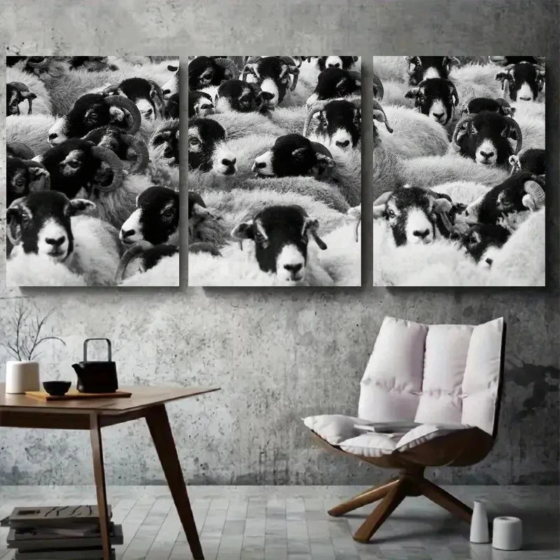 3pcs Close Up Black and White Sheep Metal Print Ready to Hang Art