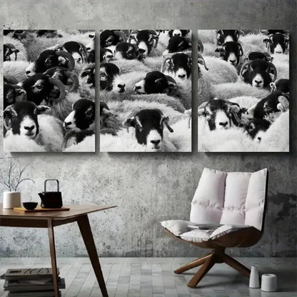 3pcs Close Up Black and White Sheep Metal Print Ready to Hang Art