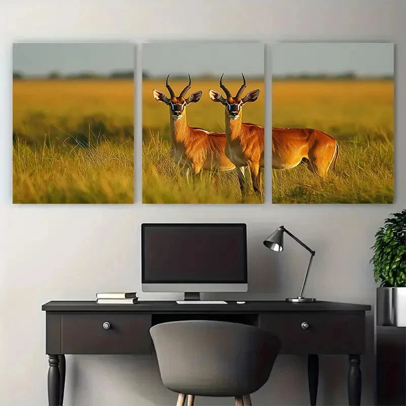 3pcs South Sudan Wildlife Décor Perfect Wall Art Set Canvas Framed 40x60cm - High Quality Print 100% Australian Made Wall Canvas Ready to Hang