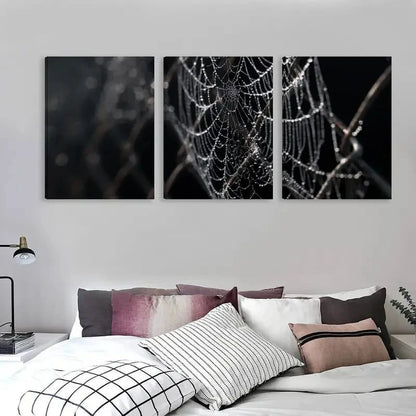 3pcs Close Up of Spider Webs on a Chain  Wall Art Set Canvas Framed 60x90cm - High Quality Print 100% Australian Made Wall Canvas Ready to Hang