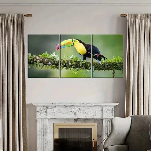 3pcs Bird Animal Art Toucan Portrait Wall Art Canvas Unframed – High Quality Print 100% Australian Made Wall Canvas
