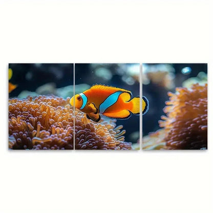 3pcs Coral Reef Tropical Fish DH  Wall Art Set Canvas Framed 50x70cm - High Quality Print 100% Australian Made Wall Canvas Ready to Hang