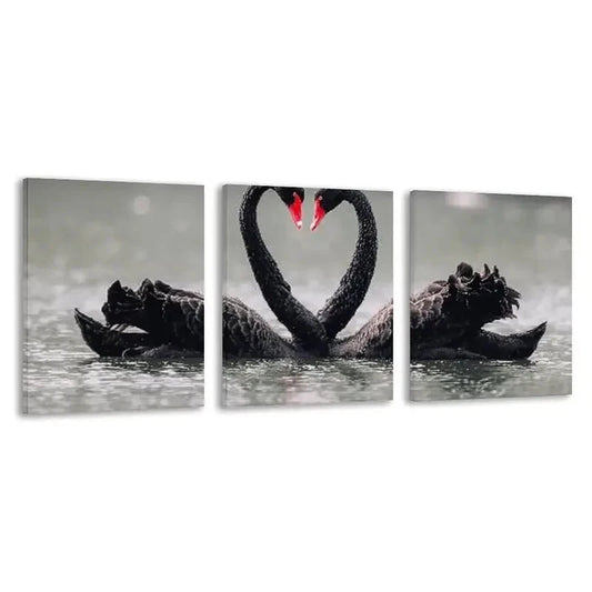 3pcs Two Black Swans in the Water Decoration    Wall Art Set Canvas Framed 60x90cm - High Quality Print 100% Australian Made Wall Canvas Ready to Hang