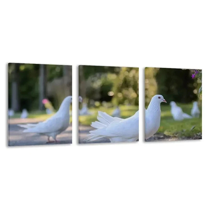 3pcs Elegant Dove Painting with White Doves on Wall Art Set Canvas Framed 50x70cm - High Quality Print 100% Australian Made Wall Canvas Ready to Hang