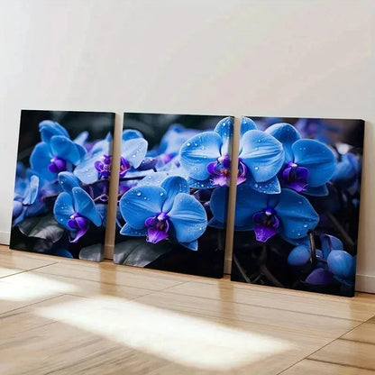 3pcs Blue Phalaenopsis Flowers with Dewdrops Wall Art Set Canvas Framed 40x60cm - High Quality Print 100% Australian Made Wall Canvas Ready to Hang